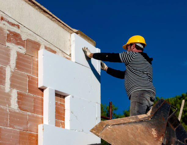 Best Insulation Maintenance and Repair in Cedar Hill, TX