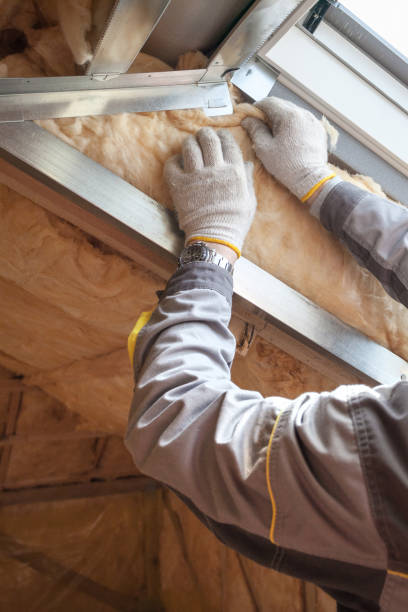 Best Specialized Insulation Services in Cedar Hill, TX
