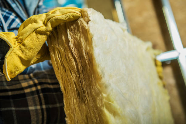 Best Blown-in Insulation in Cedar Hill, TX