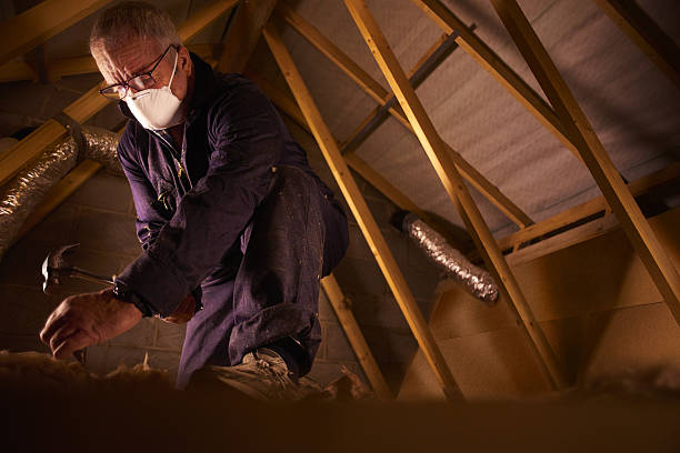 Best Commercial Insulation in Cedar Hill, TX