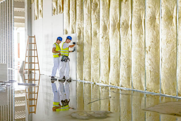Best Spray Foam Insulation in Cedar Hill, TX